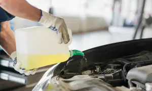 Ręce w rękawiczkach wlewają żółty płyn chłodniczy g12++ do silnika samochodu.
