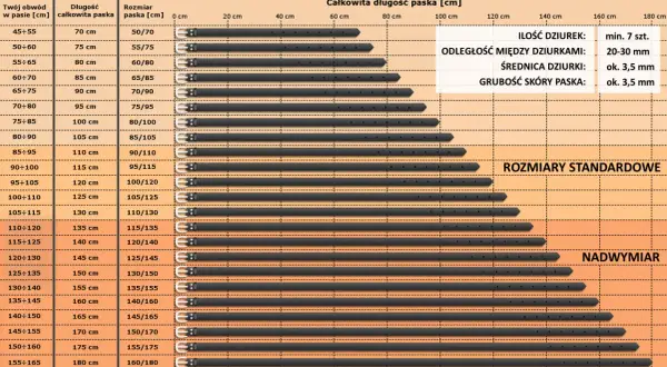 Tabela pokazuje, jak zmierzyć pasek klinowy, dopasowując obwód w pasie do długości paska i rozmiaru z dziurkami.